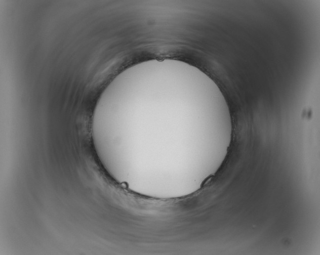 X0000110920044200907021509