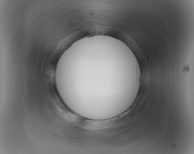 X0000110920045200907021509