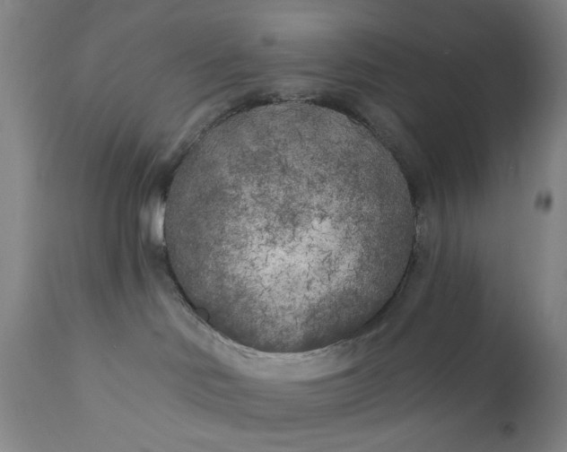 X0000110920046200907021509