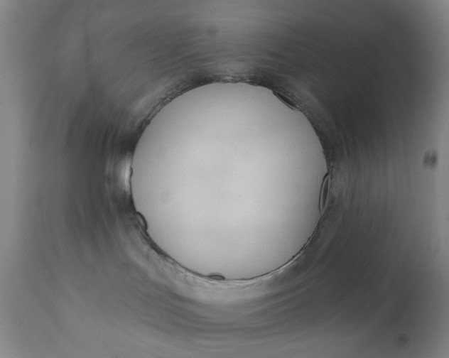 X0000110920047200907021509