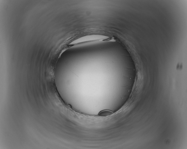 X0000110920048200907021509