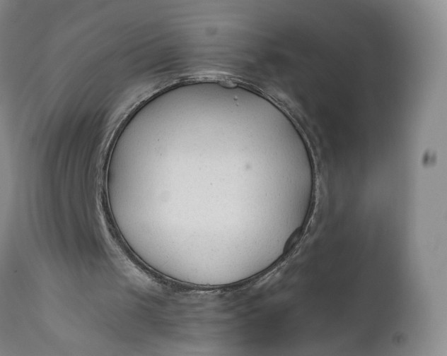 X0000110920049200907021509