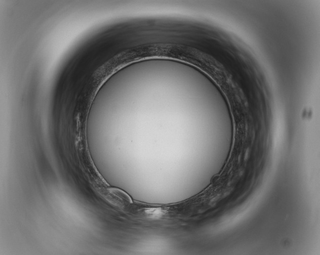 X0000110920050200907021509