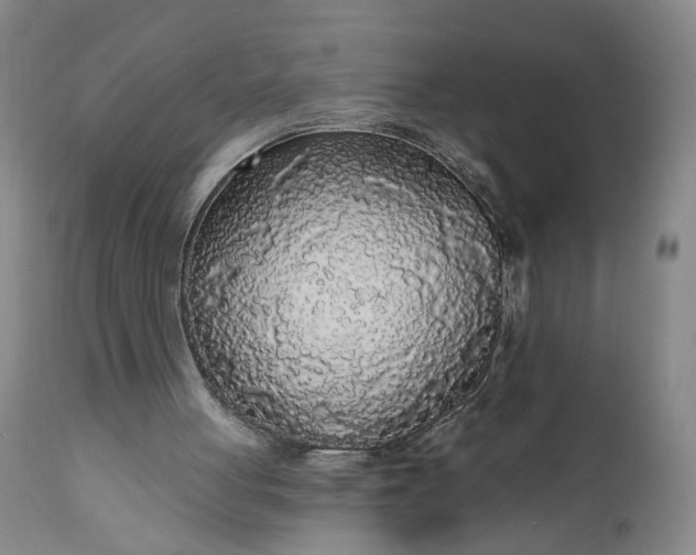 X0000110920051200907021509