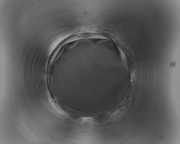 X0000110920052200907021509