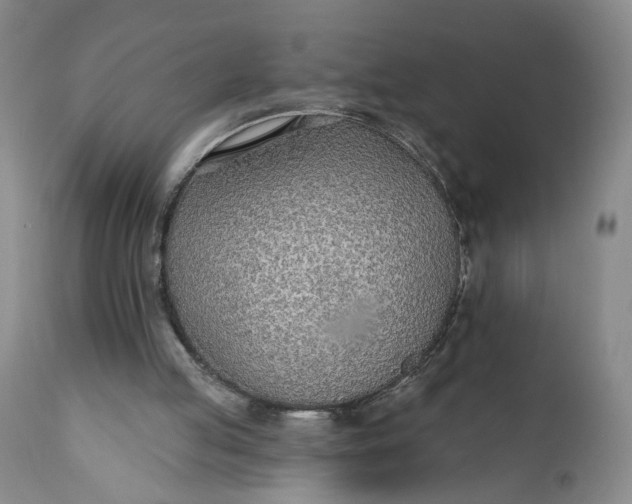 X0000110920053200907021509