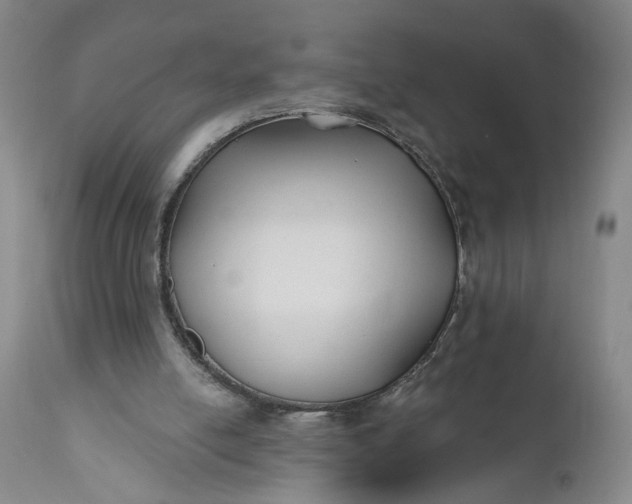 X0000110920054200907021509