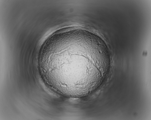 X0000110920055200907021509