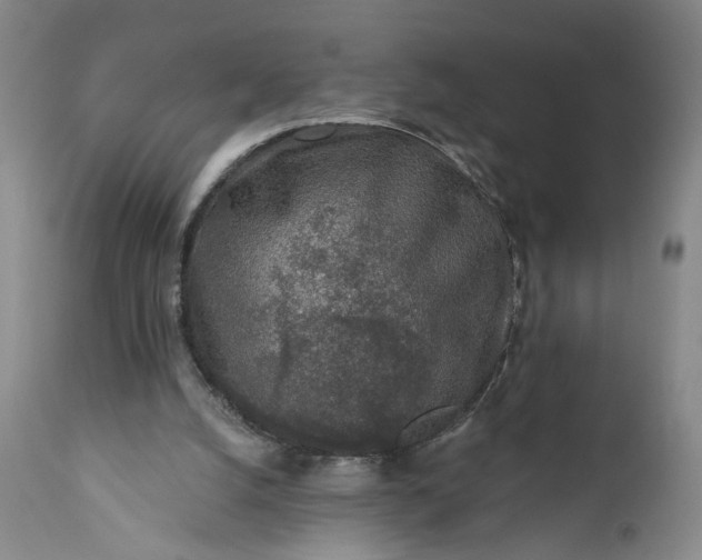 X0000110920056200907021509