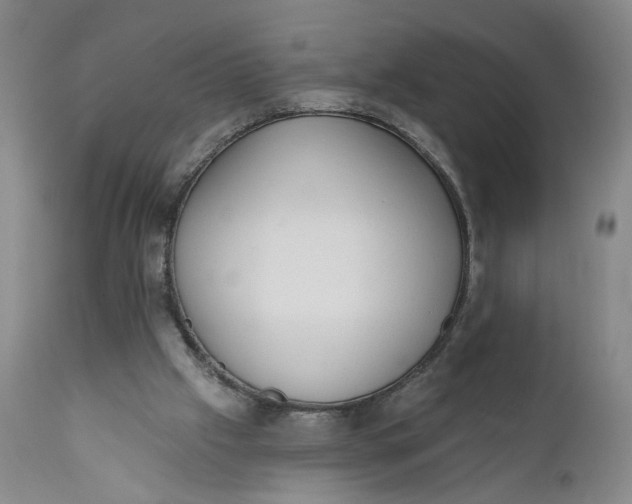 X0000110920057200907021509