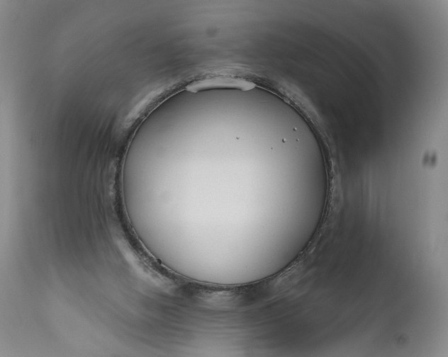 X0000110920058200907021509