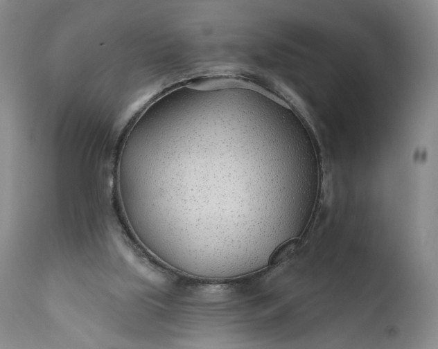 X0000110920059200907021509