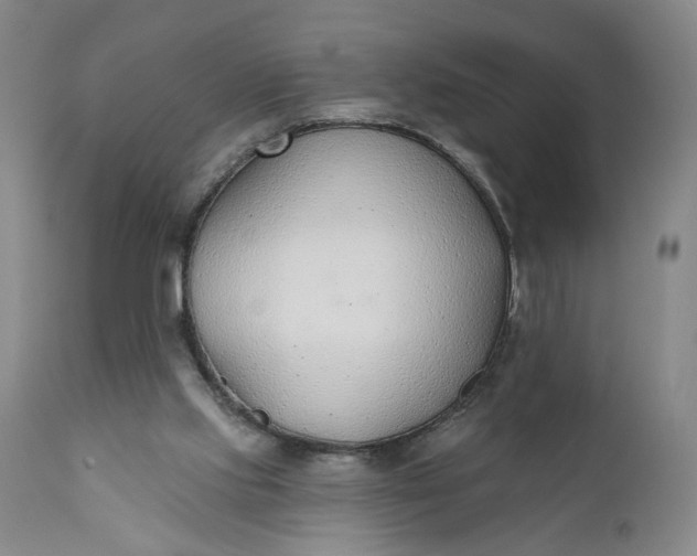 X0000110920061200907021509