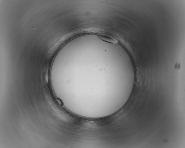 X0000110920062200907021509
