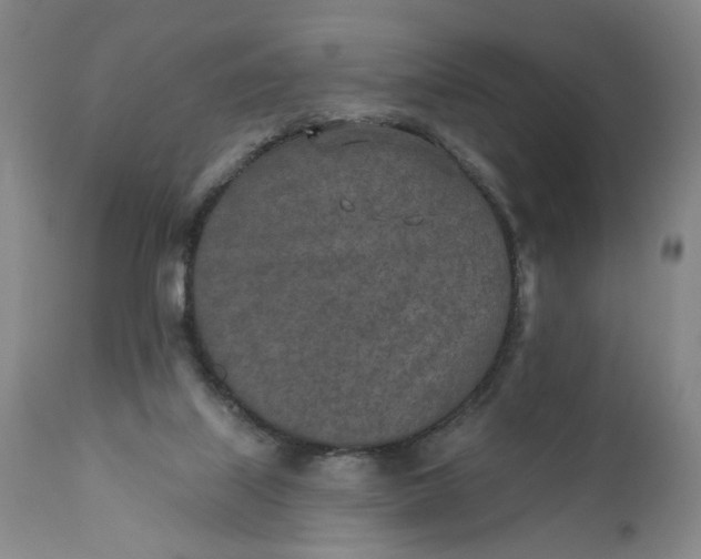 X0000110920067200907021509