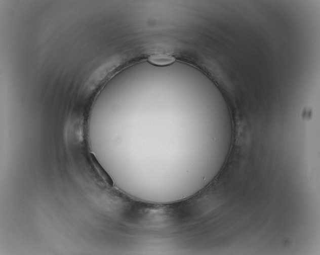 X0000110920068200907021509