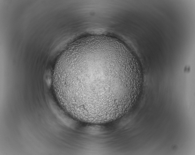 X0000110920069200907021509