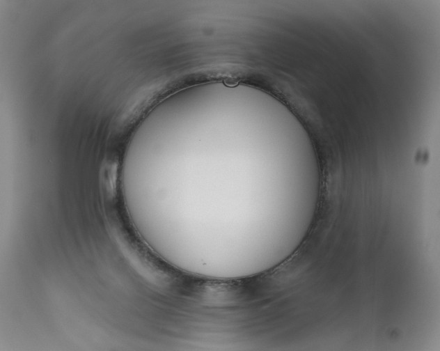 X0000110920070200907021509