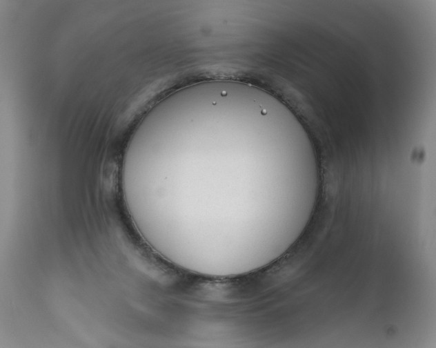 X0000110920071200907021509