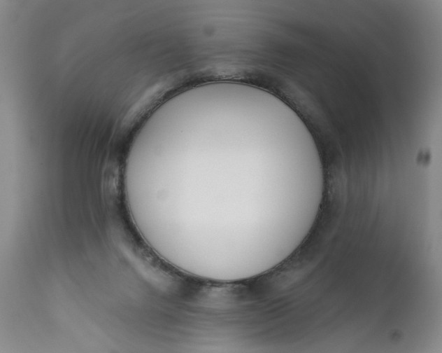 X0000110920072200907021509