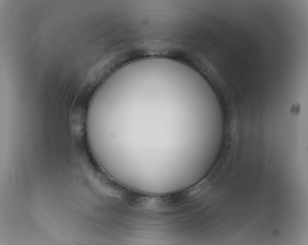 X0000110920074200907021509