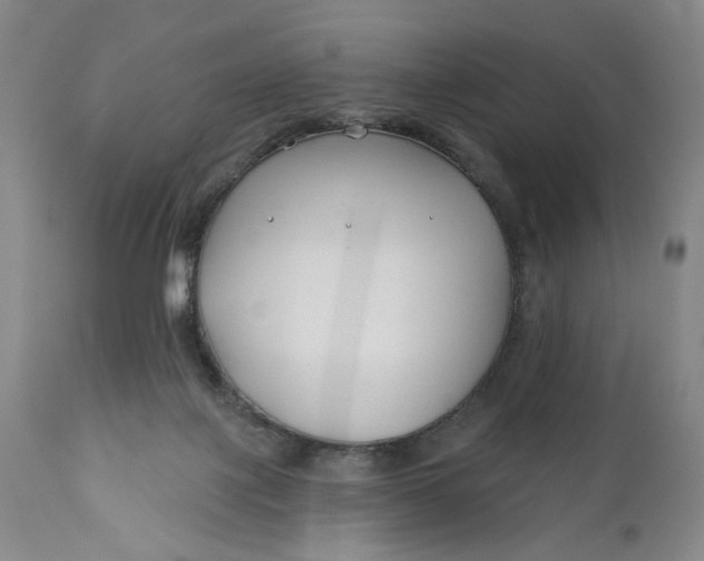 X0000110920075200907021509