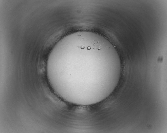 X0000110920077200907021509