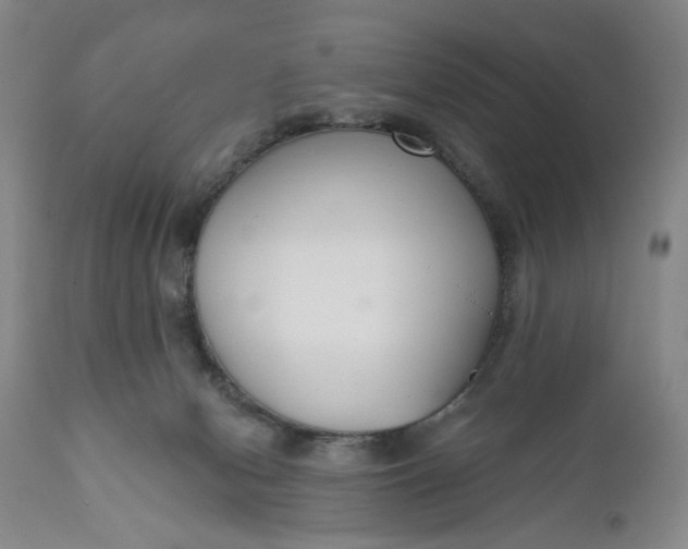 X0000110920078200907021509