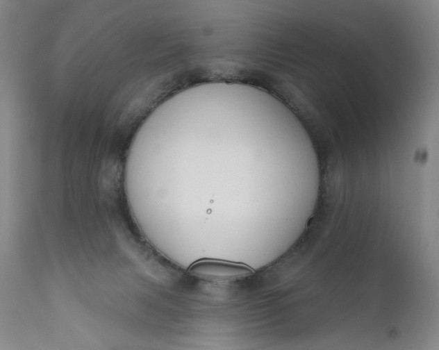X0000110920079200907021509