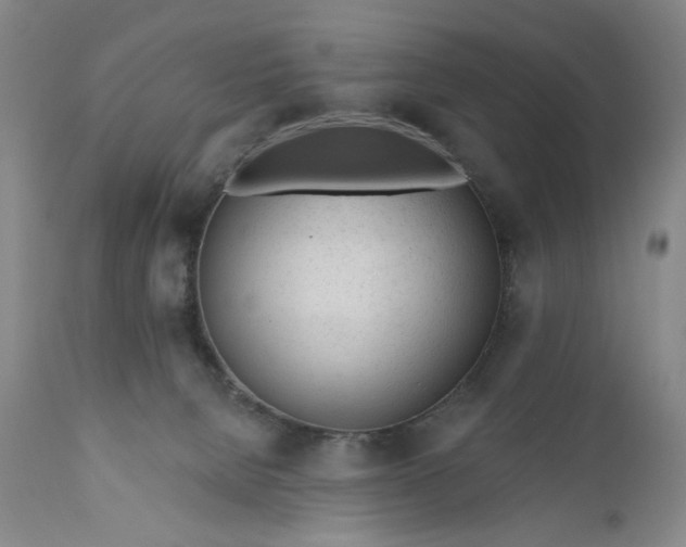 X0000110920080200907021509