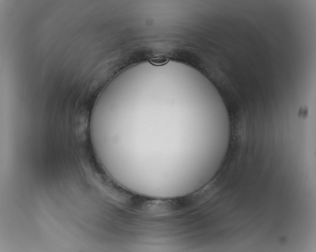 X0000110920082200907021509