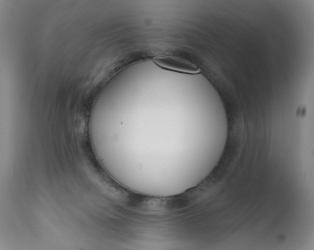 X0000110920084200907021509