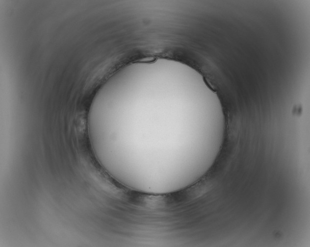 X0000110920085200907021509