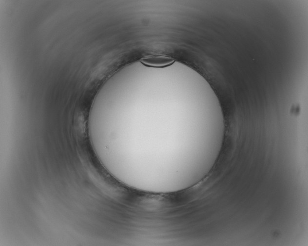 X0000110920086200907021509