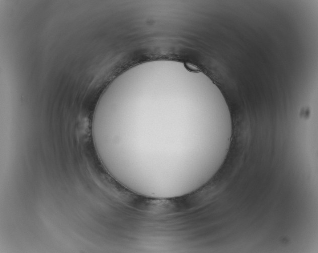 X0000110920087200907021509