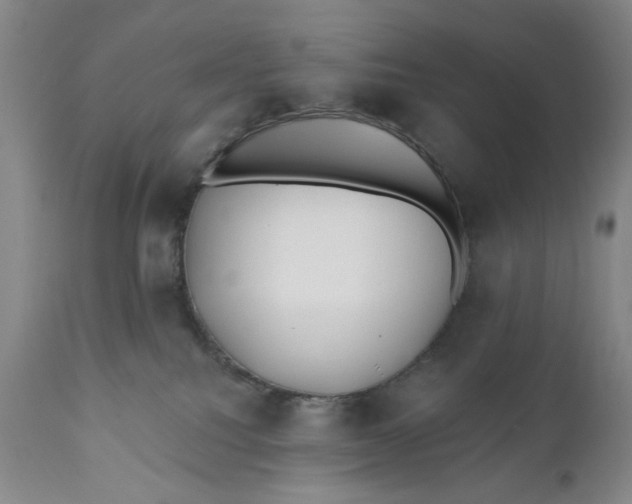 X0000110920088200907021509