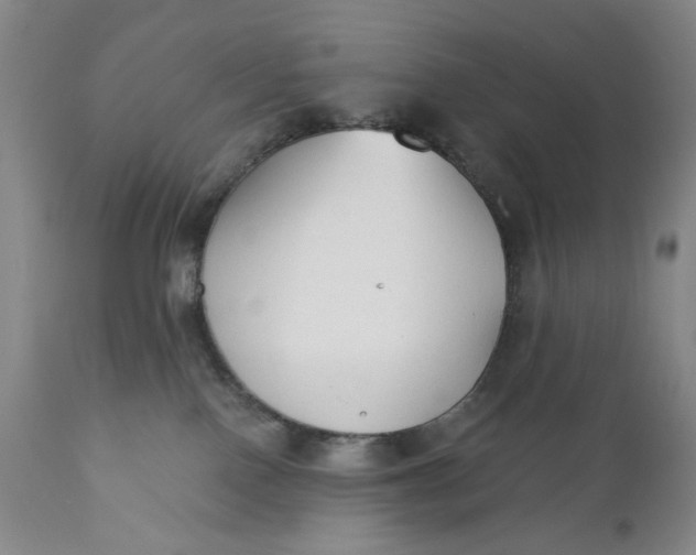 X0000110920090200907021509