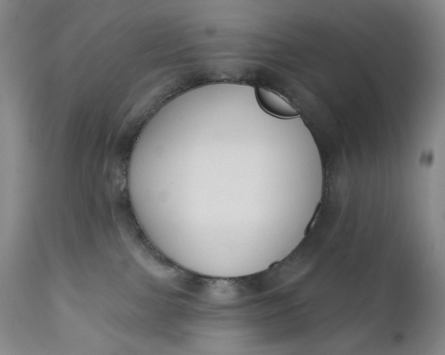 X0000110920091200907021509