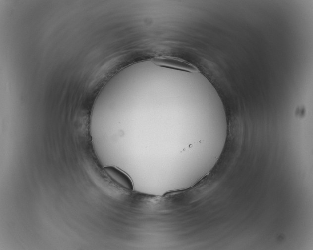 X0000110920092200907021509