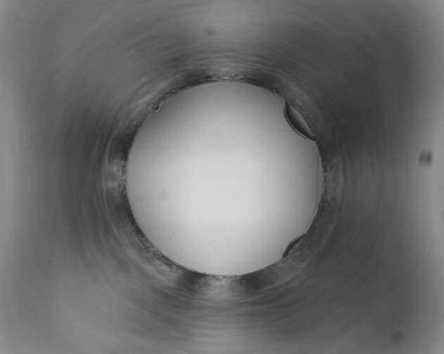 X0000110920093200907021509