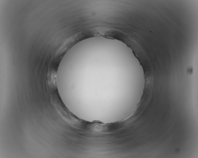 X0000110920094200907021509