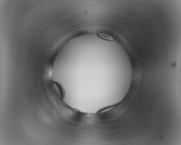X0000110920095200907021509