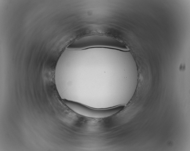X0000110920096200907021509