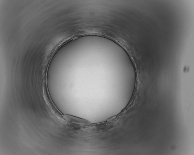 X0000110920097200907021509