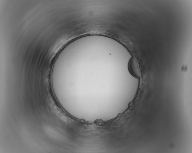 X0000110920098200907021508