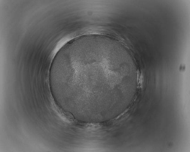 X0000110920099200907021508
