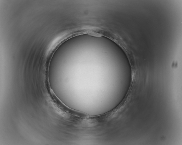 X0000110920101200907021508