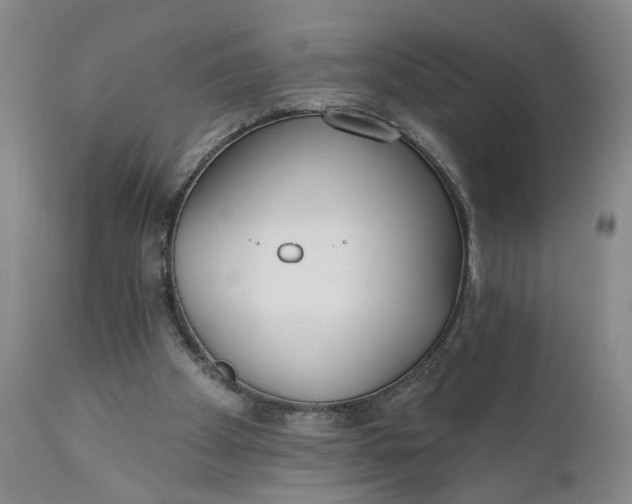 X0000110920105200907021508