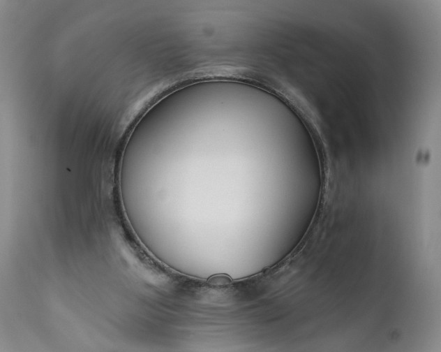 X0000110920107200907021508