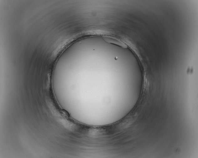 X0000110920109200907021508